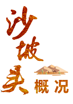 沙坡头区概况