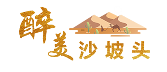 醉美沙坡头