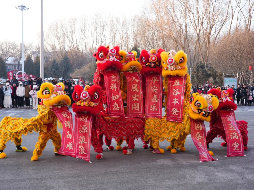 我们的节日.欢乐中国年丨2025年沙坡头区春节社火展示展演活动精彩上演