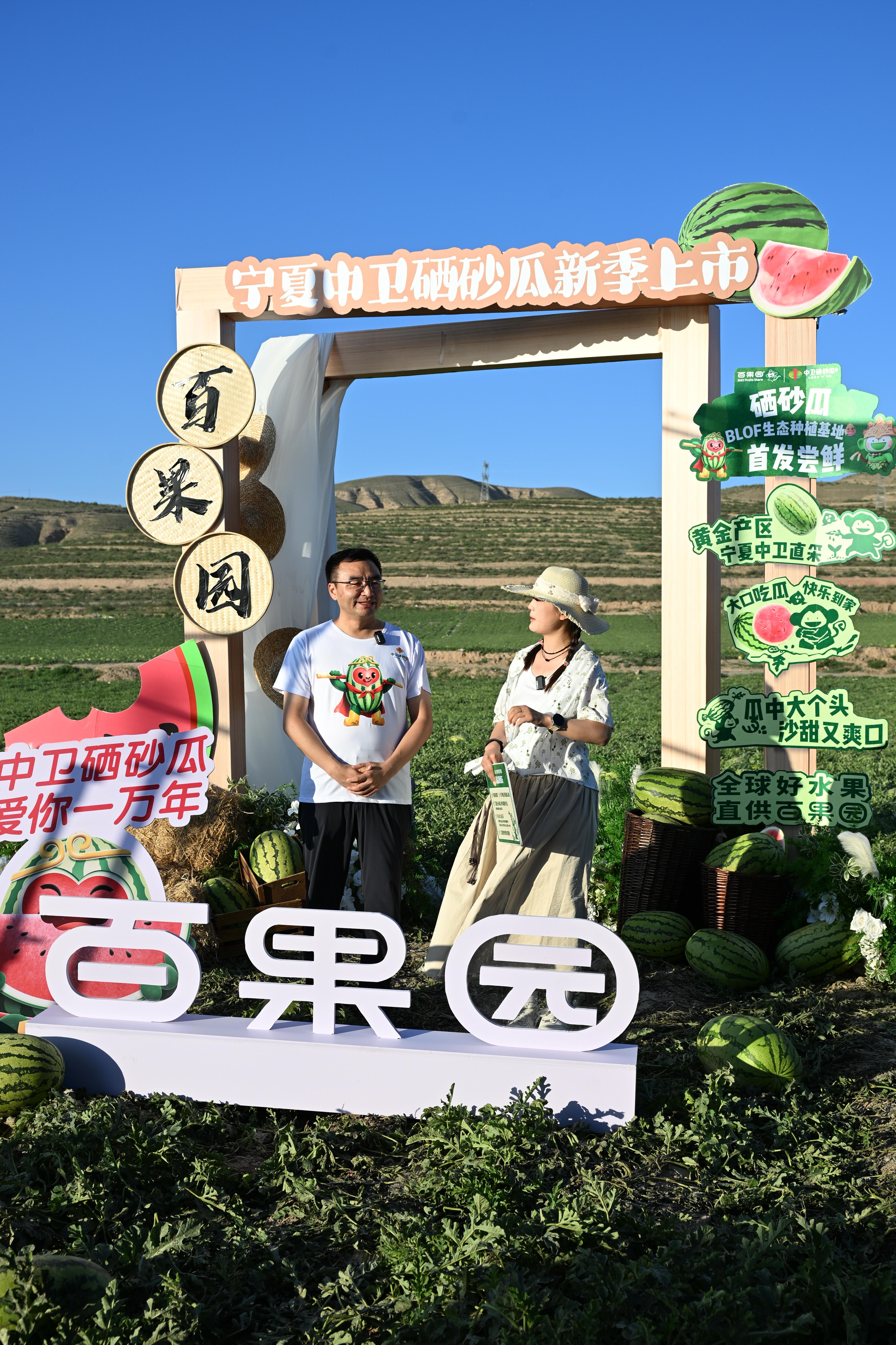两化一振兴 塞上谱新篇丨沙坡头区委书记化身“瓜田主播” 40分钟引30万网友围观助销硒砂瓜