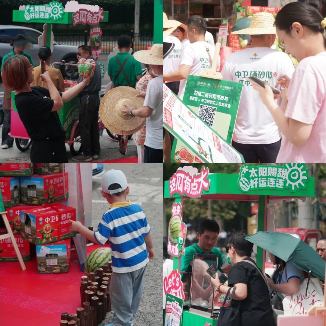 中卫硒砂瓜推介会在上海市成功举办
