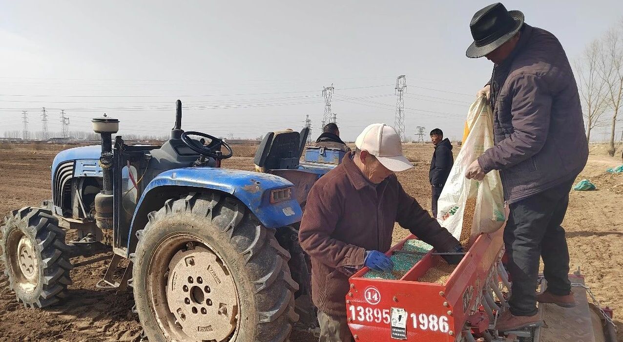 政策补贴惠民生 种肥同播促增收