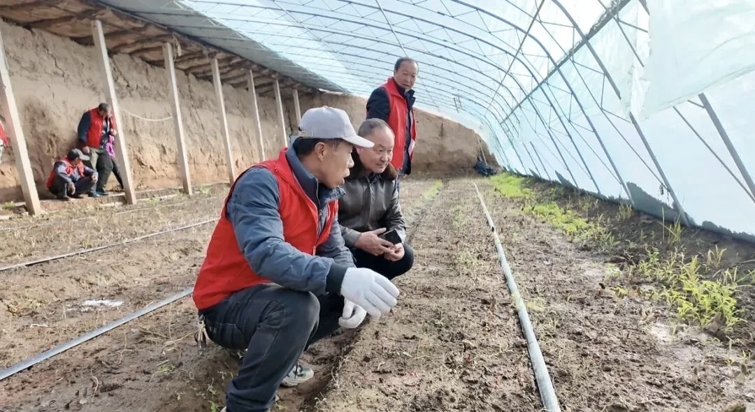 镇罗镇组织党员干部直奔一线“解难题”