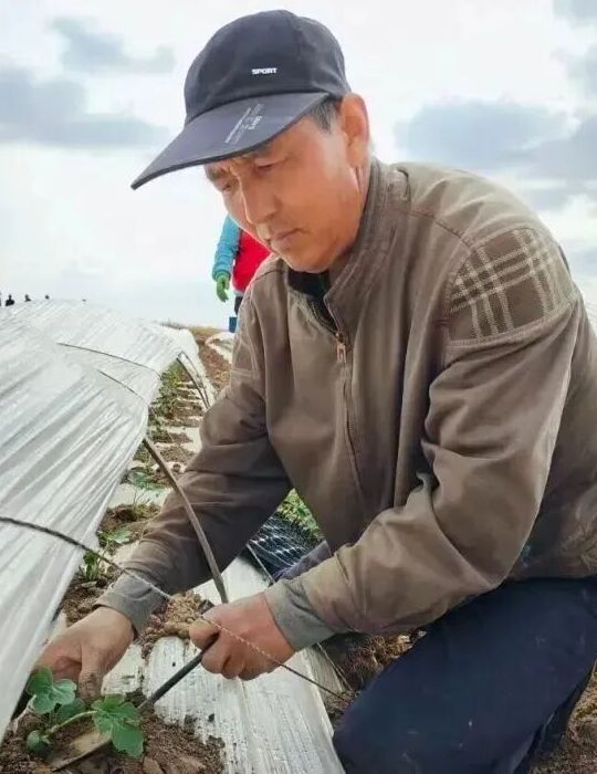 东园镇探索多元经营模式壮大村集体经济